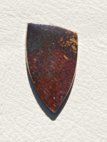 Traded Dinosaur Bone 1310T  :  description
