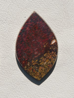 Traded Dinosaur Bone 1312T  :  description
