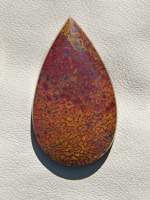Traded Dinosaur Bone 1314T  :  description