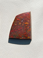 Traded Dinosaur Bone 1320T  :  description