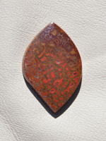 Traded Dinosaur Bone 1323T  :  description