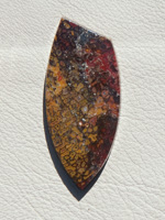 Traded Dinosaur Bone 1324T  :  description