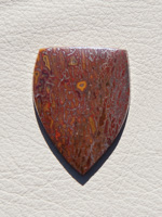 Traded Dinosaur Bone 1325T  :  description