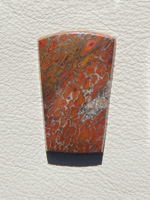 Traded Dinosaur Bone 1327T  :  description