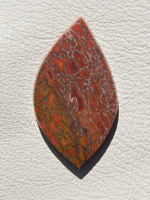 Traded Dinosaur Bone 1329T  :  description