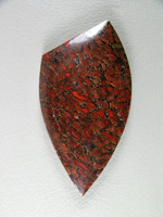 traded Dino Bone 410T  :  This piece is solid and almost no under cutting on the cells.  A great example  of top grade bone.