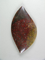 traded Dino Bone 413T  :  More typical color patterns and with 3 separate color zones in a very pretty cut.