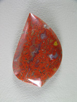 traded Dino Bone 417T  :  Such a bright Red Orange color.  There were 2 slabs of this bone and some great cabs as a result.  This stone also features some nice Yellow accents.