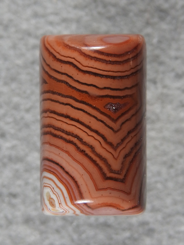 Dryhead Agate 2124  :  A large ring stone in Oranges.  What a ring this will make. Beutiful crisp lines.