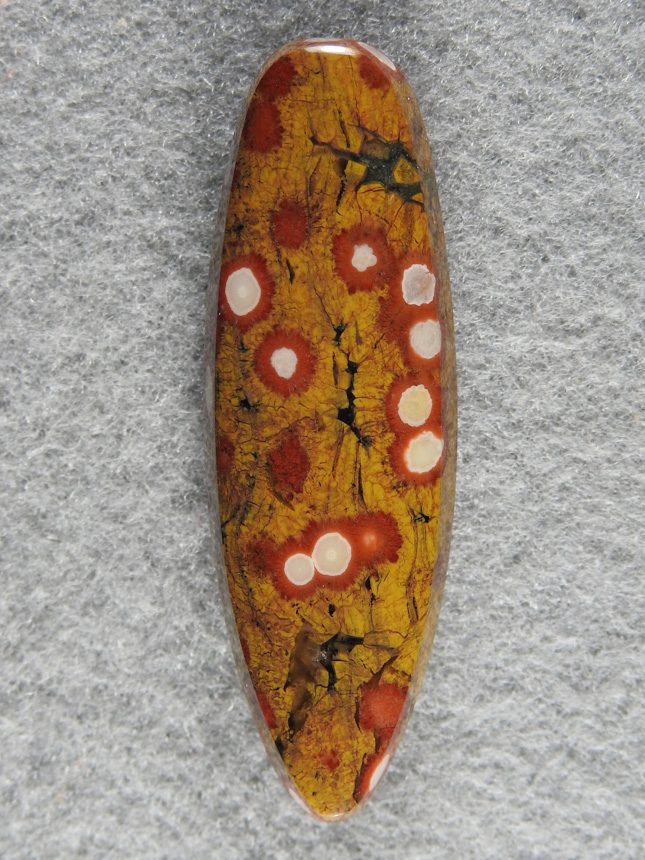 Guadalupe Jasper 1268  :  A glassy polish on this classic Guadalupe Jasper