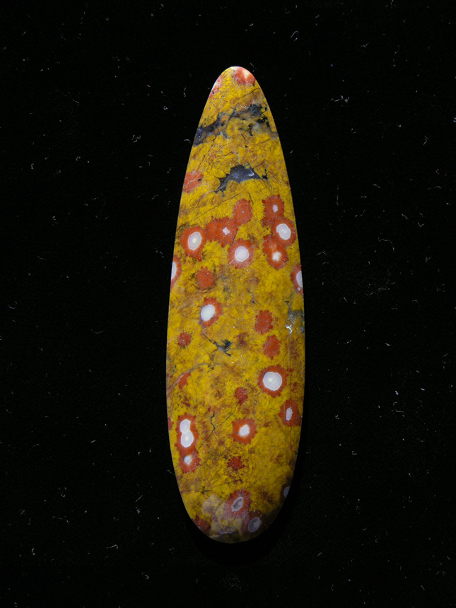 traded D Guadalupe Jasper 680