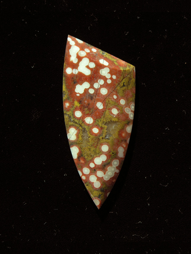 traded D Guadalupe Jasper 682