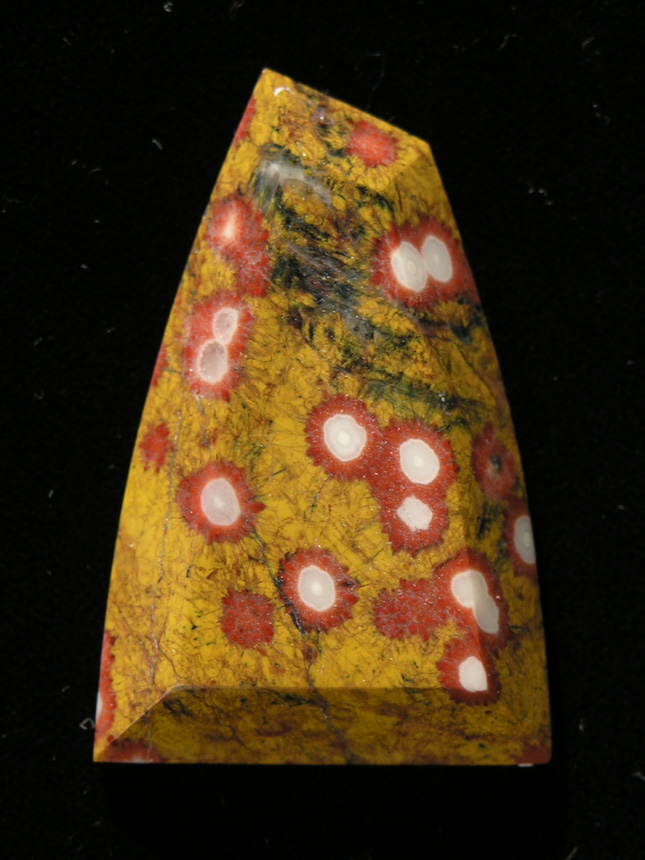 traded D Guadalupe Jasper 683