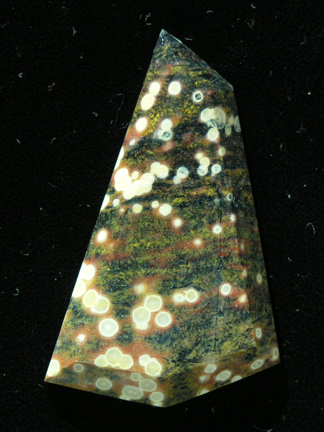 traded D Guadalupe Jasper 684
