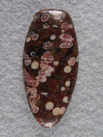 Guadalupe Jasper 1276  :  A darker color for Guadalupe, you don't see this color very often.