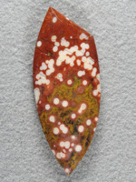Guadalupe Jasper 667:  A very nice elongated badge with this beautiful Poppy Jasper in duo tones.