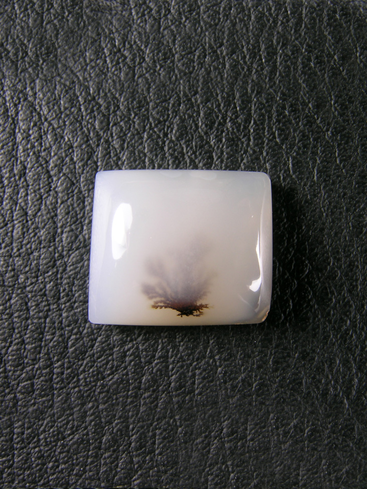 Horse Canyon Dendritic Agate 761  :  A small cab of Milky Agate with a beautiful dendrite spray in the base.