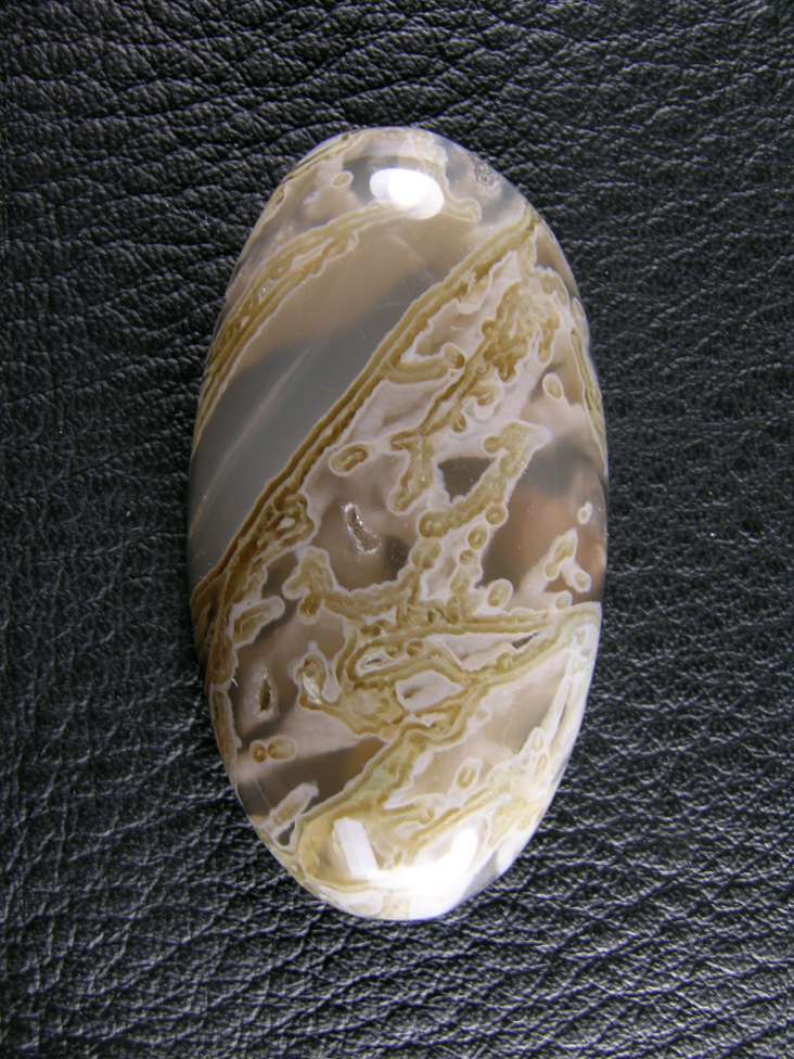 Horse Canyon Tube Agate 788  :  A slender cab of Carmel and White filiment tube moss.