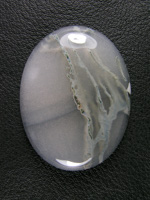 Horse Canyon MossAgate 769  :  A showy Green Moss Tube in a milky Agate