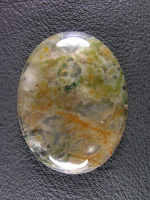 Horse Canyon Moss Agate 731  :  A gemmy beauty.  Translucent tube with various shades of Green and Orange moss centers.