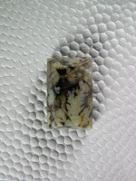 Horse Canyon Plume Agate 783  :  Light Green Plumes in this Black Agate (common color combo at Horse Canyon)