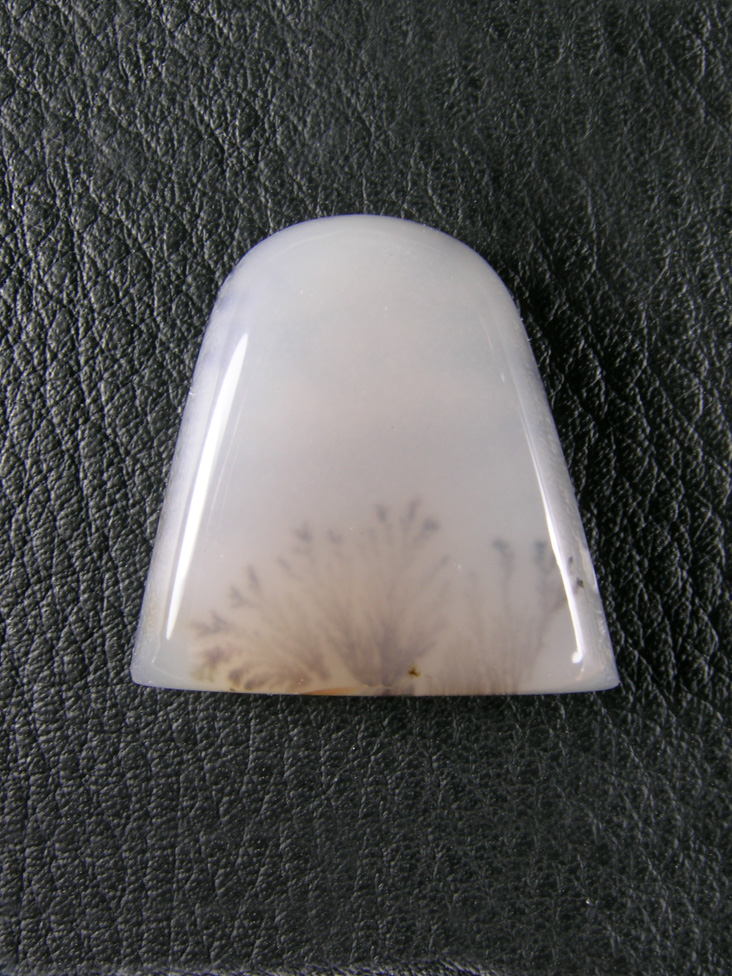 Horse Canyon Dendritic  Agate 705  :  A Beautiful milky Agate cab with dendrite plumes throughout and 3 in the bottom front that look like sage brush.