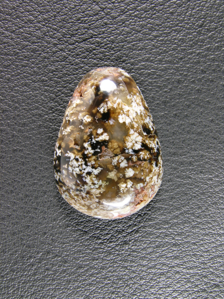 Horse Canyon Plume Agate 710  :  Great White Plumes running all thru this Gold and Black Agate.