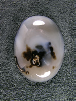 Horse Canyon Agate 708  :  Black Tubes rising thru a nice milky agate in a traditional cab