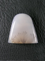 Horse Canyon Dendritic  Agate 705  :  A Beautiful milky Agate cab with dendrite plumes throughout and 3 in the bottom front that look like sage brush.