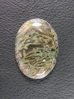 Horse Canyon Moss Agate 711  :  A great example of the Green Tube Moss from Horse Canyon in this traditional 30/40 cut.