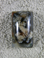 Horse Canyon Plume Agate 714  :  White Plume on Black with extremely well formed plumes!  This is waiting for a ring to hold it.