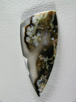 Horse Canyon Plume Agate 726  :  Not self collected.  A great very gemmy cab in the Black and plumes with a small area of the comon Opal.  A classic cab from this classic location.