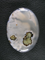 Horse Canyon Plume Agate 739  :  The White clouds in this Agate hide the Black coating with Plume centers but cutting through them makes for a pretty stone.