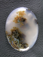 Horse Canyon Plume Agate 741