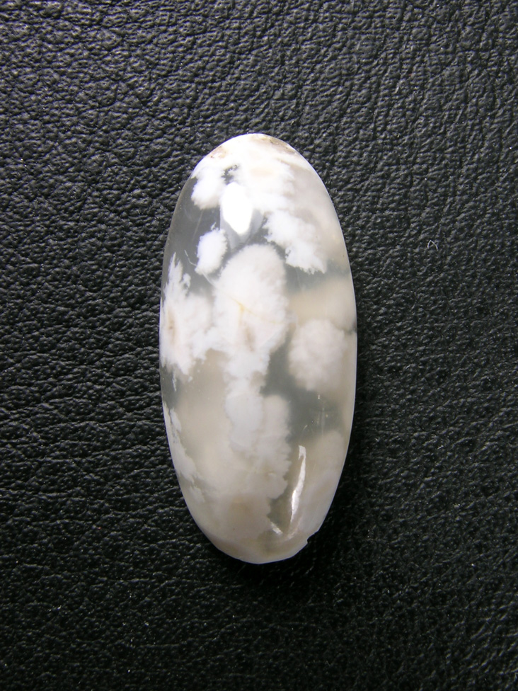 Icicle Agate 627  :  Small oval cab of Icicle Agate ith water clear Agate and White Opal plumes.