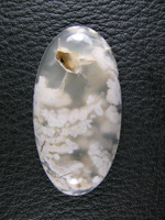 Icicle Agate 620  :  Traditional cab of Icicle Agate ith water clear Agate and White Opal plumes.
