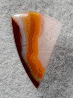 Kentucky Agate 1854 : A small cut of some Kentucky Agate with some detailed banding.