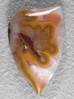 Kentucky Agate 446  :  Rare Ketucky Agate.  This one also has the Orange balls in the Quartz and what looks like a Sagenite spray pattern in the middle.