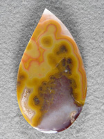 Kentucky Agate 447  :  Rare Kentucy Agate.  This cab is thin as the slab was not std. thickness but what a great pattern and colors!