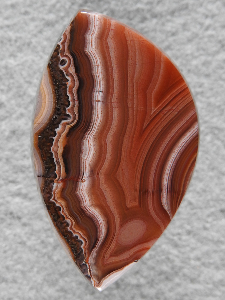Laguna Agate 38  :  description