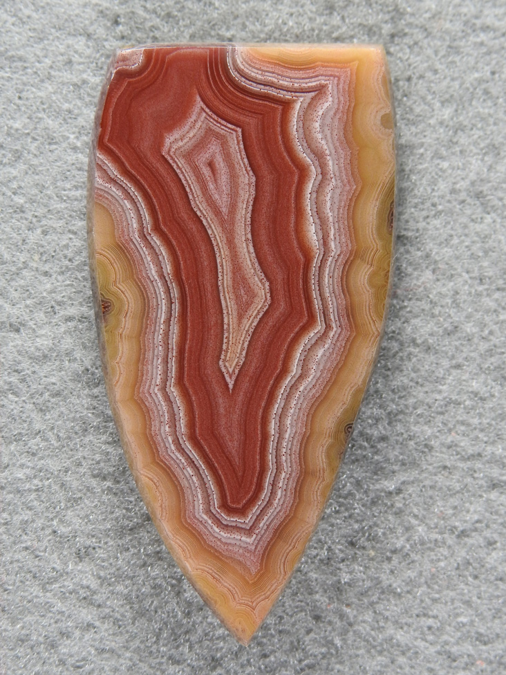 Laguna Agate 1481 : Long badge of top notch Laguna Agate with some great Autumn colors and a mirror polish.