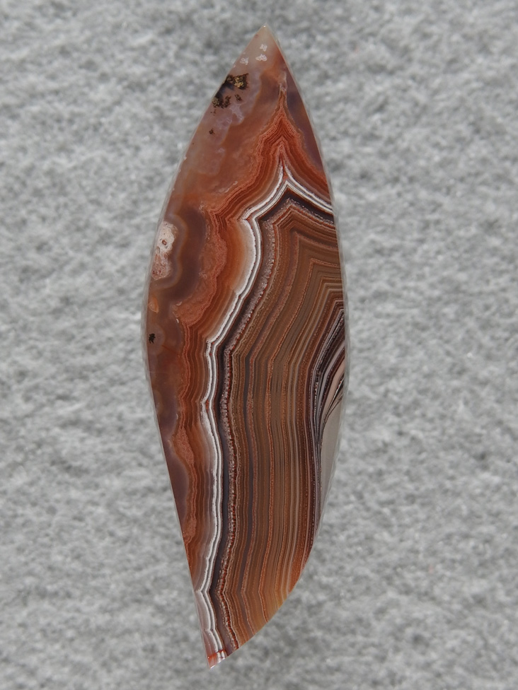 Laguna Agate 58  :  Another small fragment of a broken slab that now has new life waiting for a pendant.