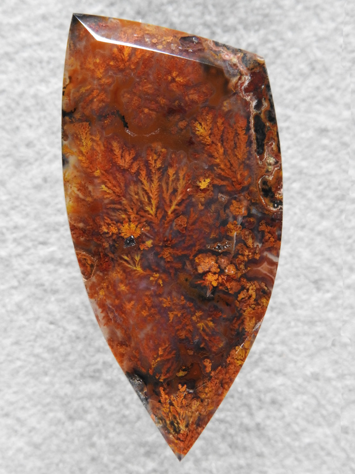 Laguna Agate 70  :  Laguna is expensive and Laguna Plume is rare.  This is a fantastic cab of Multi-colored Plume from Laguna.