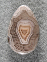 Laguna Agate 1490 : Another gemmy button with tight bands of Laguna.