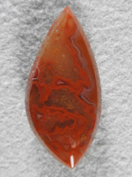 Laguna Agate 1500 : A deep Red sets off this Gold Moss Laguna cab.