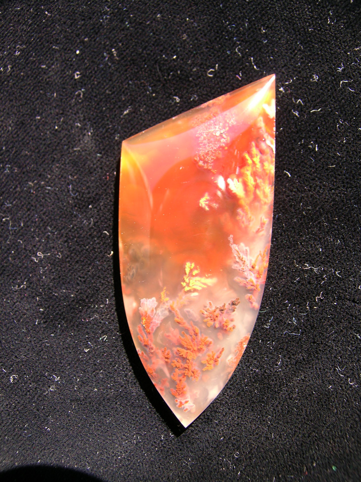 Traded Laguna Agate 98T  :  Another Laguna Plume floating in multi colored Agate.  And another bad photo.  I have learned to factor in photo time so I can document the cabs I can't reshoot once they are gone.