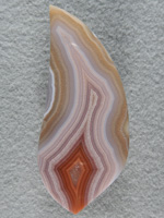 Laguna Agate 1885  :  A Very large Laguna with wonderful banding and colors and taking full advantage of the clean patterns in a glossy finished cab.  Another nice Collector stone to be sure.