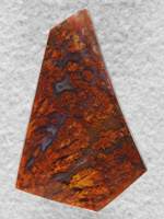 Laguna Plume Agate 66  :  A beautiful multi colored Plume from the classic Laguna beds in Mexico.  A glassy polish with no undercutting in the plumes