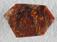 Laguna Plume Agate 67  :  A beautiful multi colored Plume from the classic Laguna beds in Mexico.  A glassy polish with no undercutting in the plumes