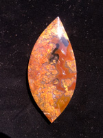 Traded Laguna Agate 99T  :  A Laguna Plume with several Agate colors mixed in.  Smaller Plumes but still a lovely rare stone. 